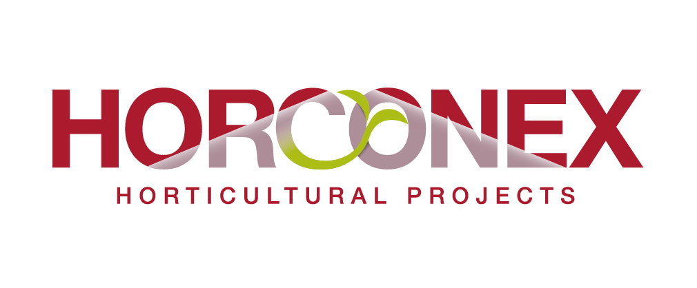 Horconex