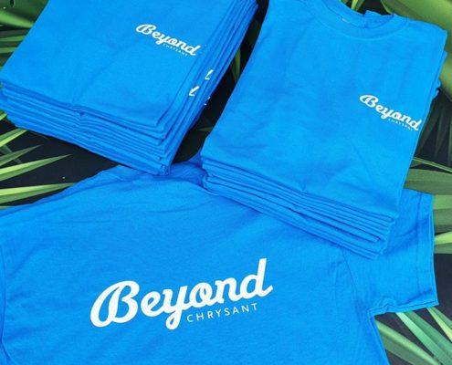 Zeefdruk-Beyond-Screen-Promotion-758x560